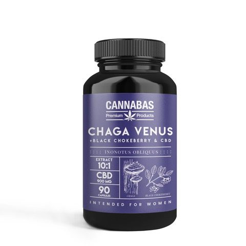 Cannabas CBD capsules Chaga Venus